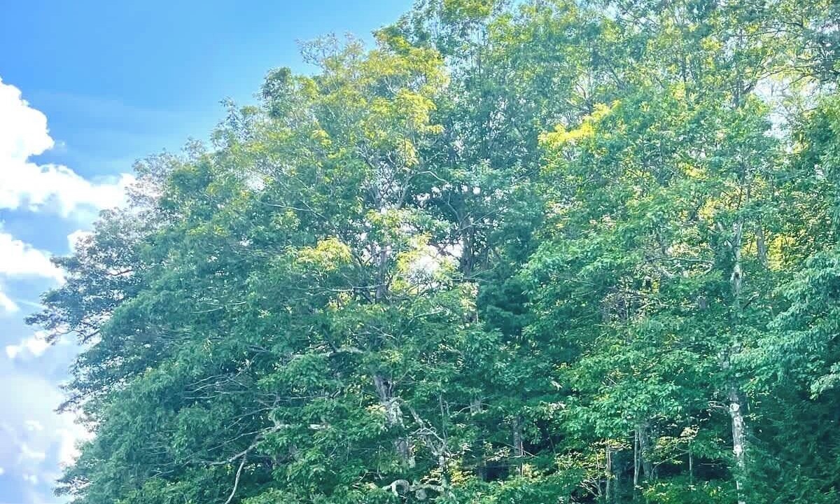 Photo of Outdoor in Monmouth