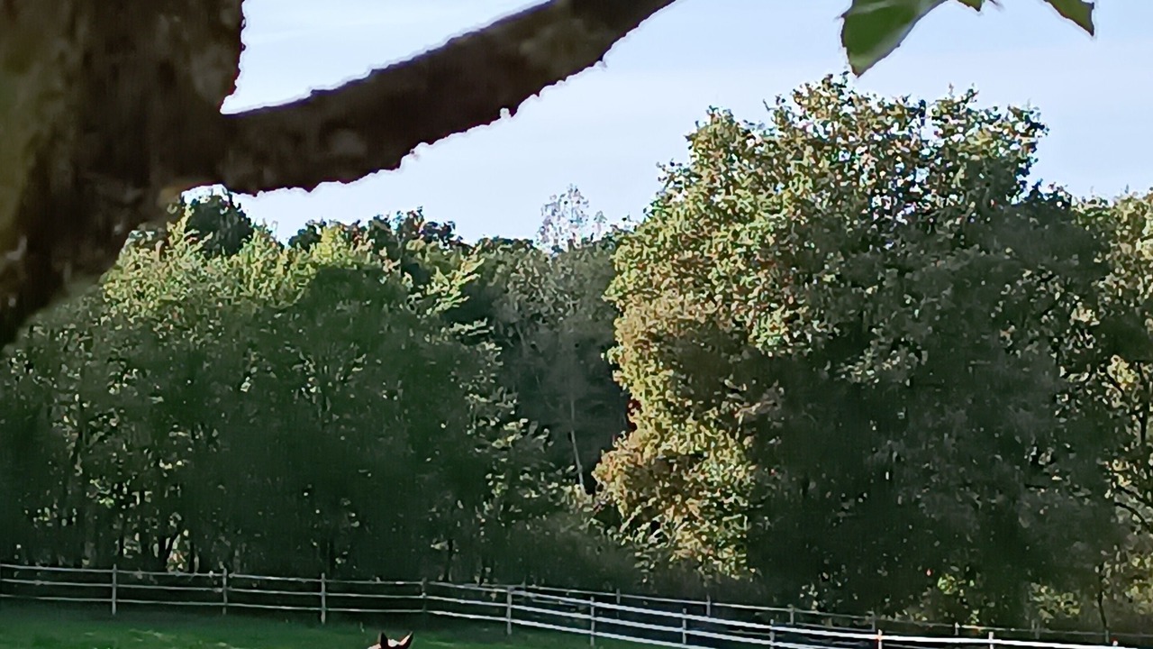 Photo of Outdoor in La Garnache
