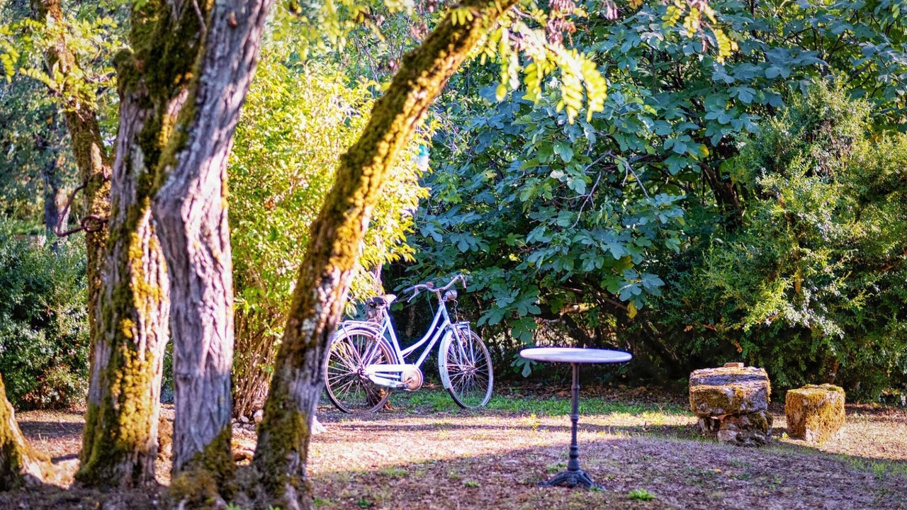 Photo of Outdoor in Cahuzac-sur-Vere