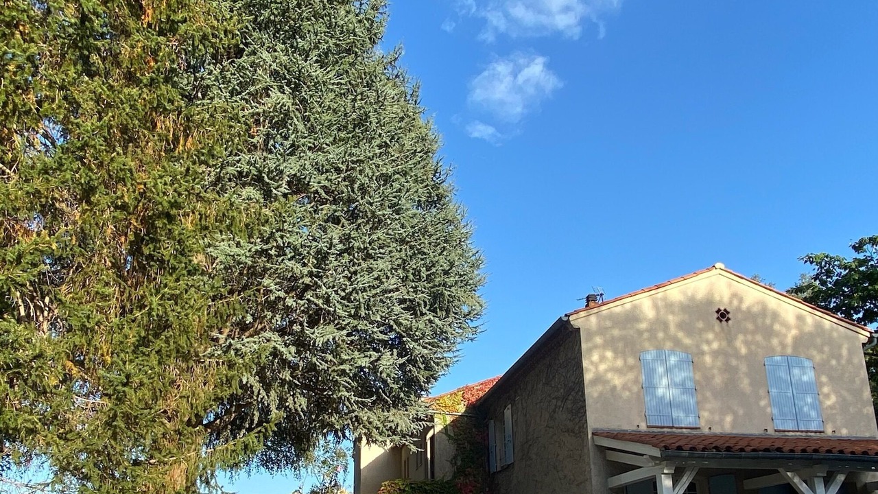 Photo of Outdoor in Foix