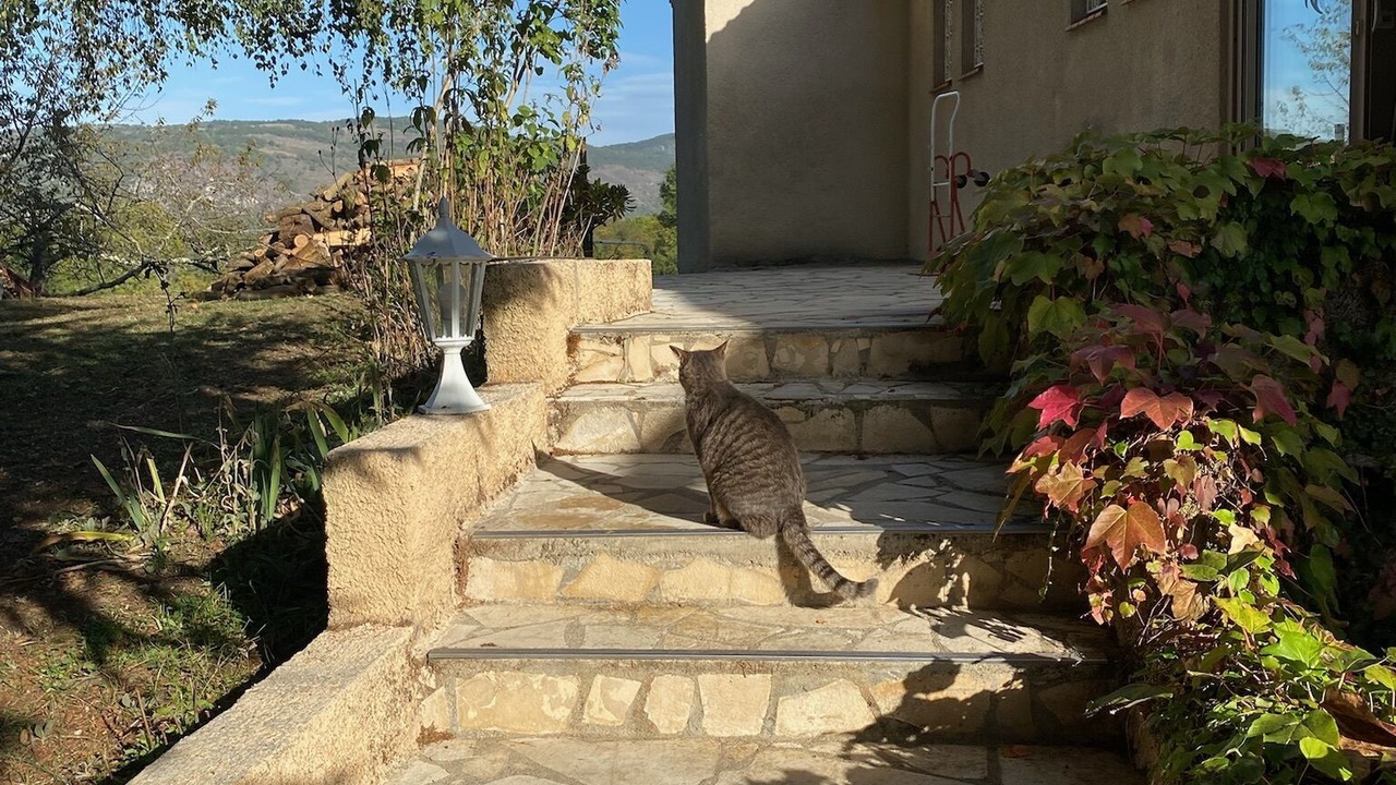Photo of Outdoor in Foix