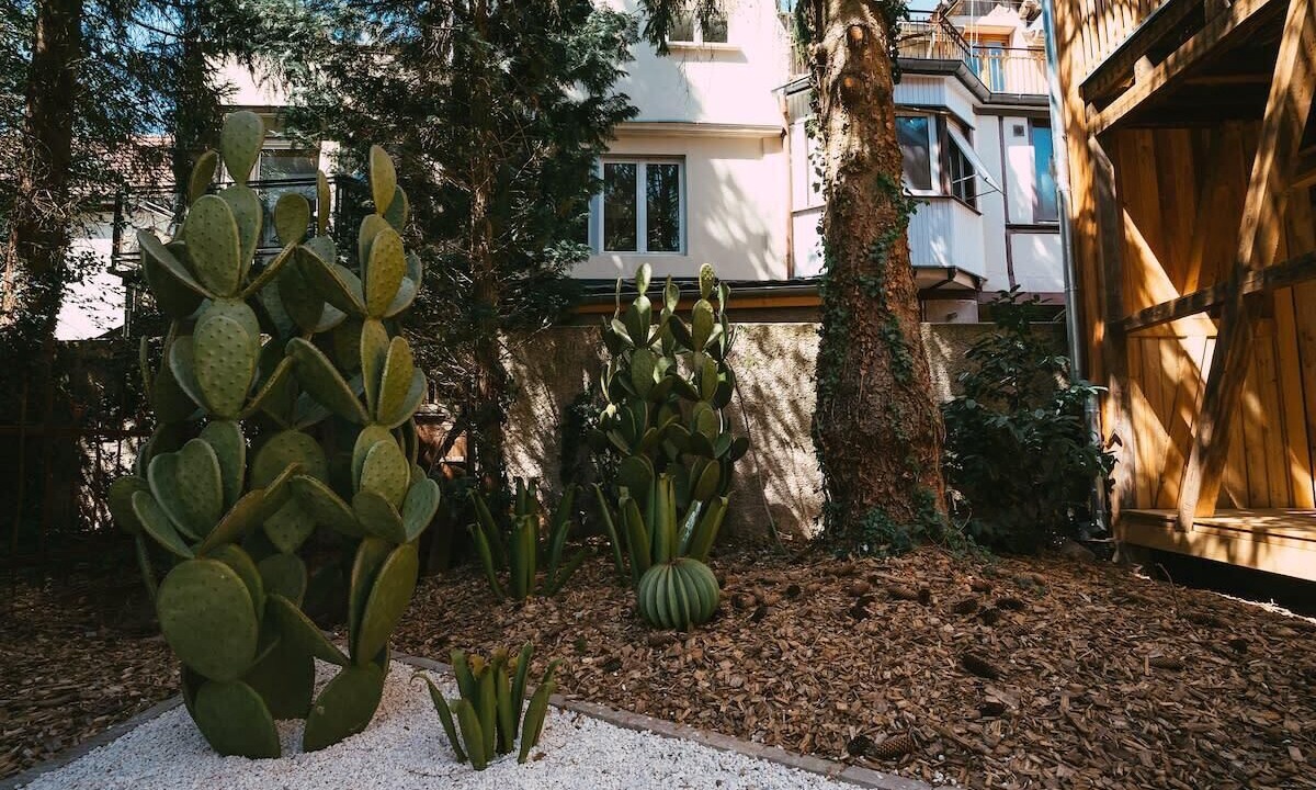 Photo of Others in Guebwiller