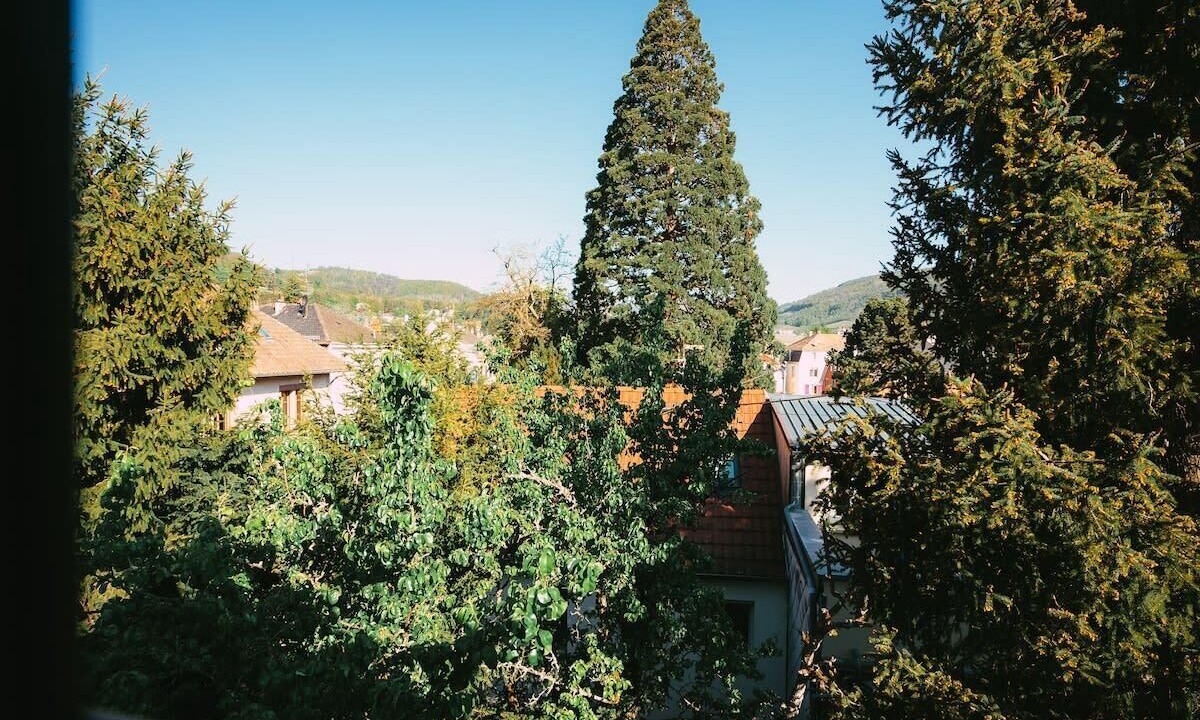 Photo of Others in Guebwiller