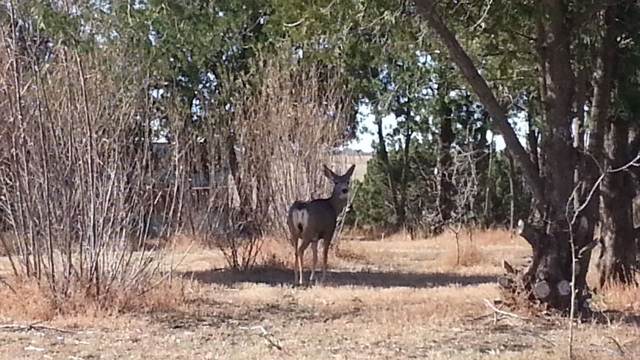 Photo of Others in Canyon