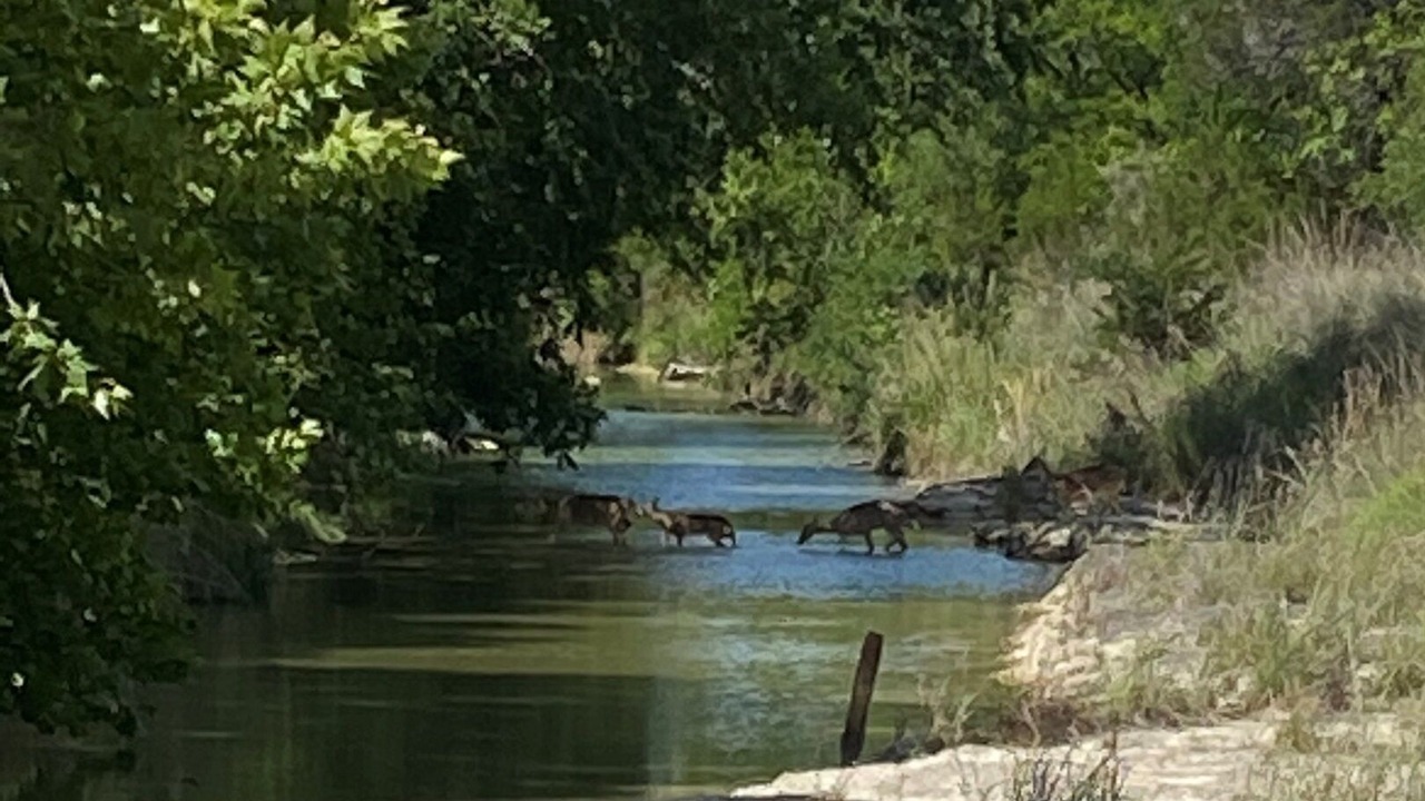 Photo of Others in Bandera