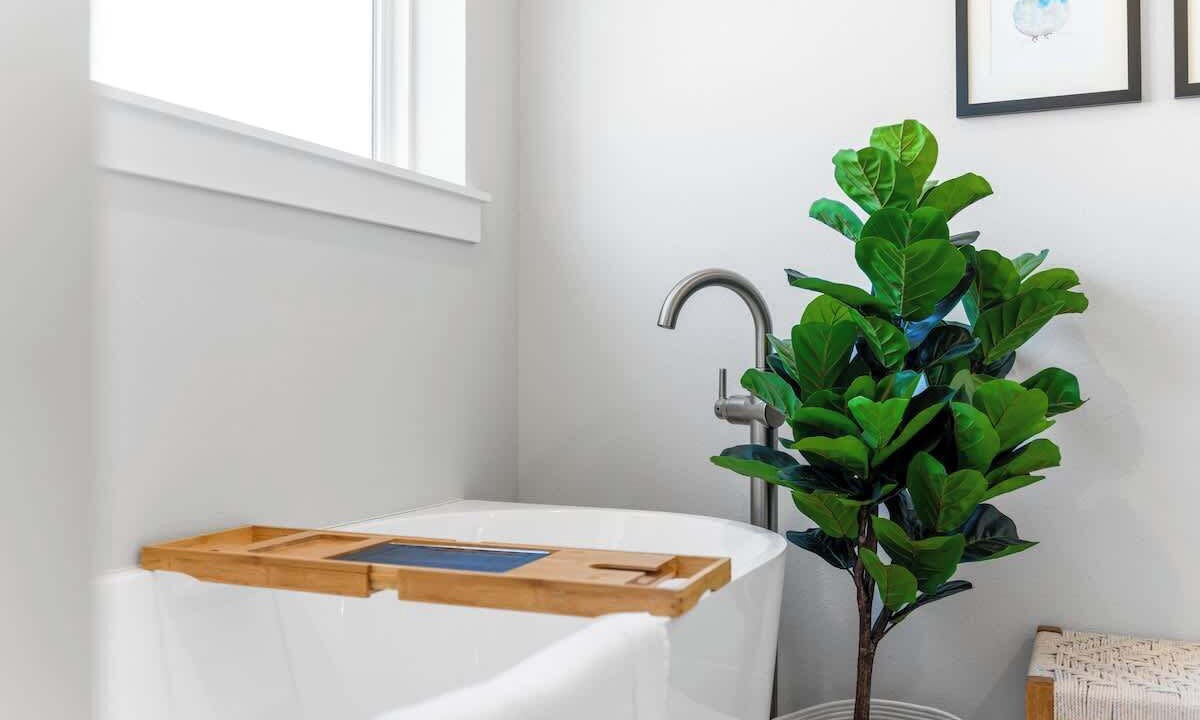 Photo of Bathroom in Indian Point