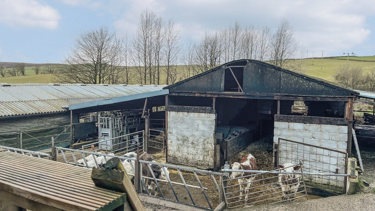 Photo of Others in Hollinsclough