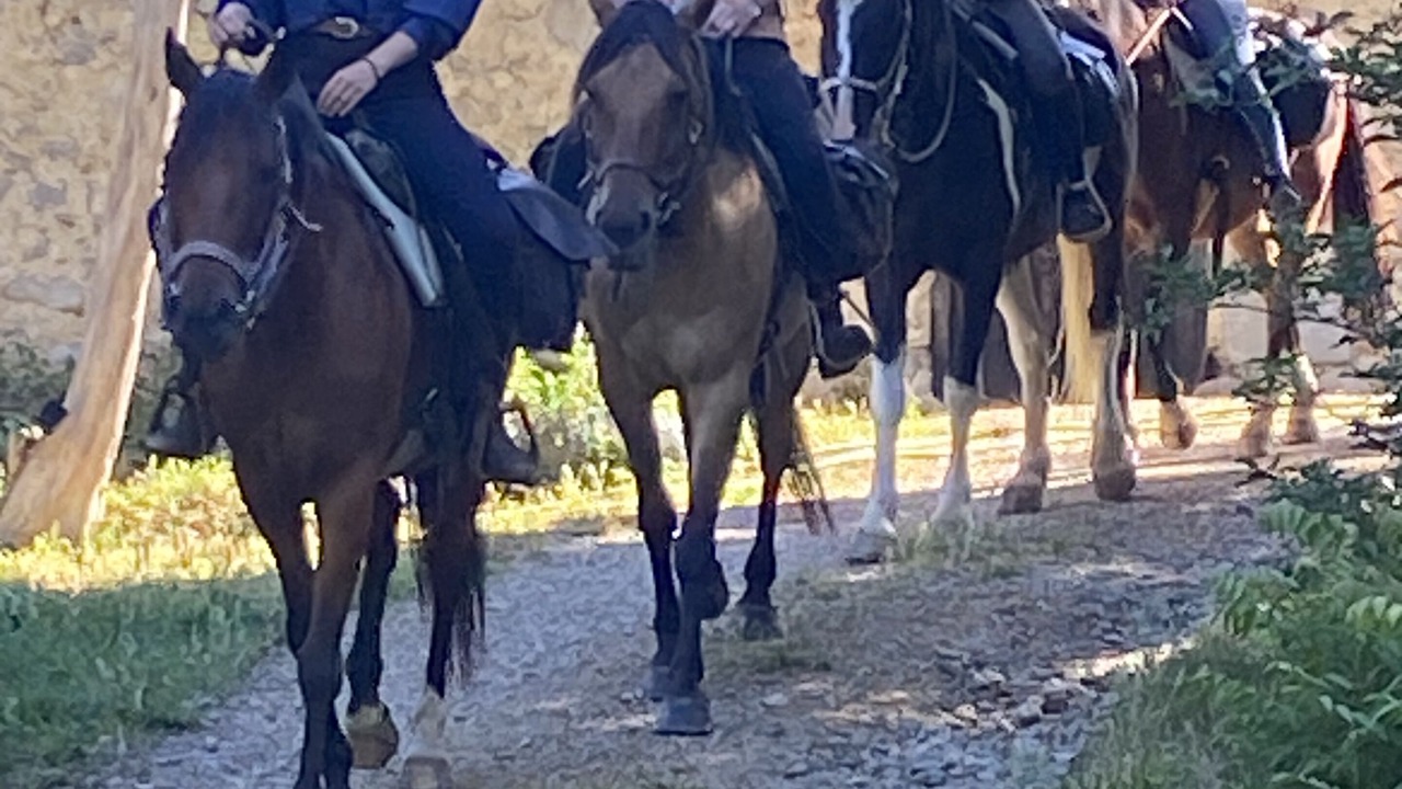 Photo of Others in Quirbajou