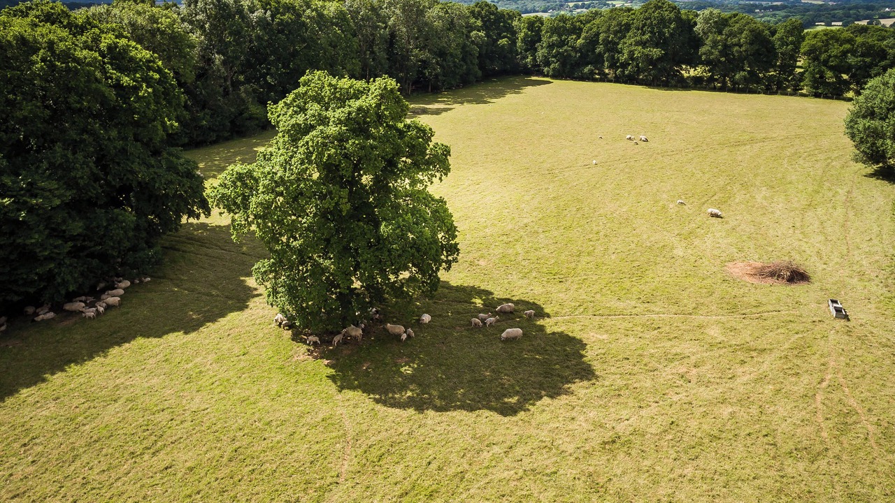 Photo of Outdoor in Wadhurst