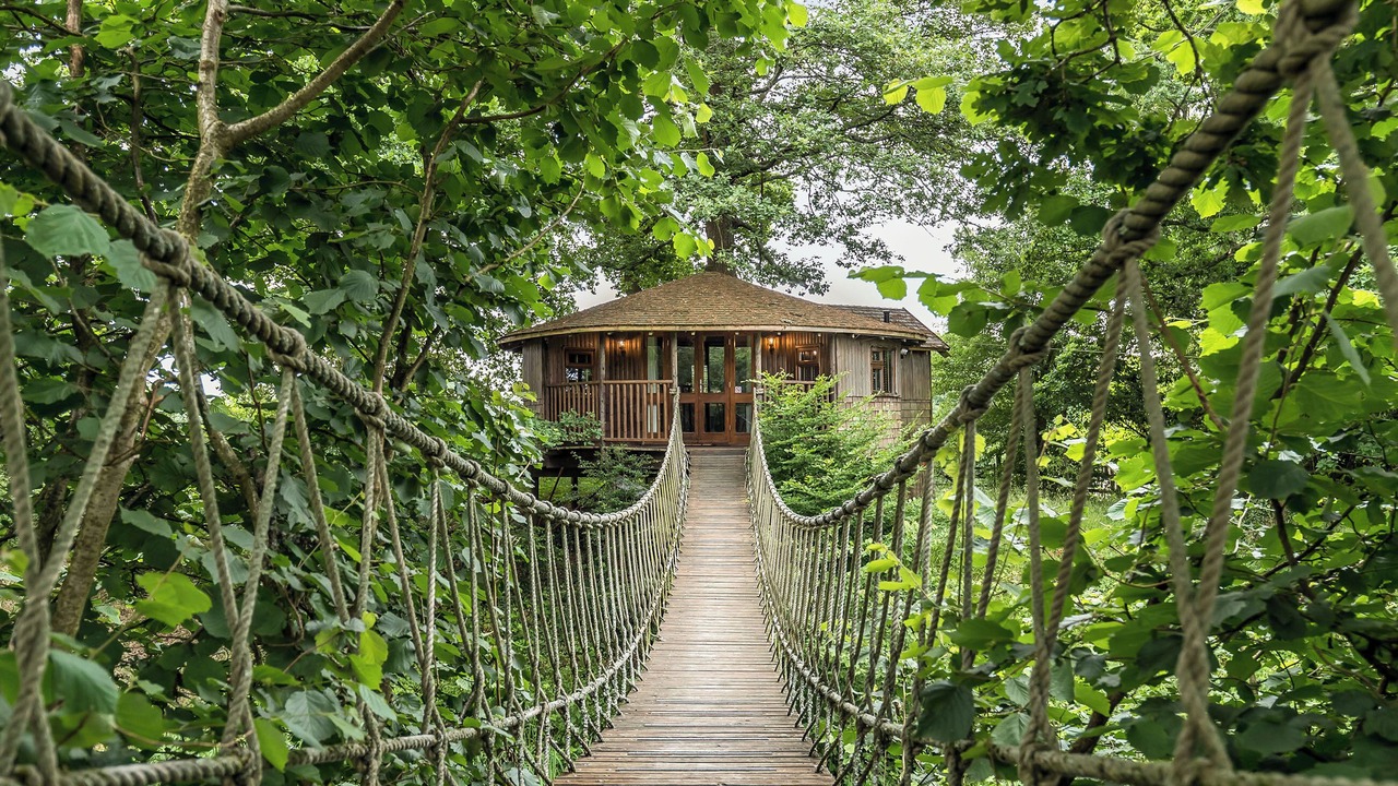 Photo of Others in Wadhurst