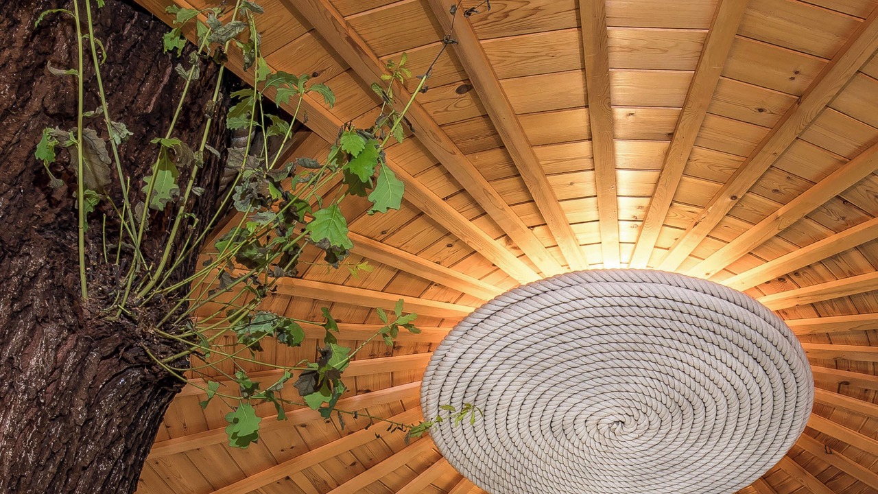 Photo of Others in Wadhurst