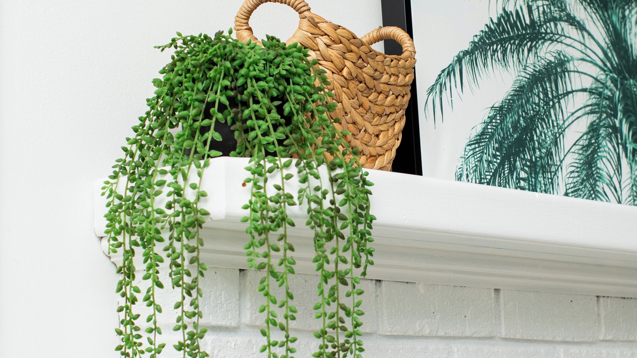 Photo of Outdoor in Pooler