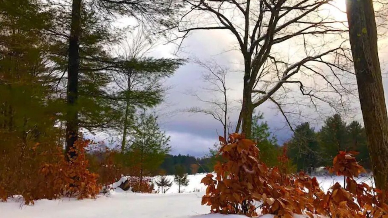 Photo of Outdoor in Clarksville