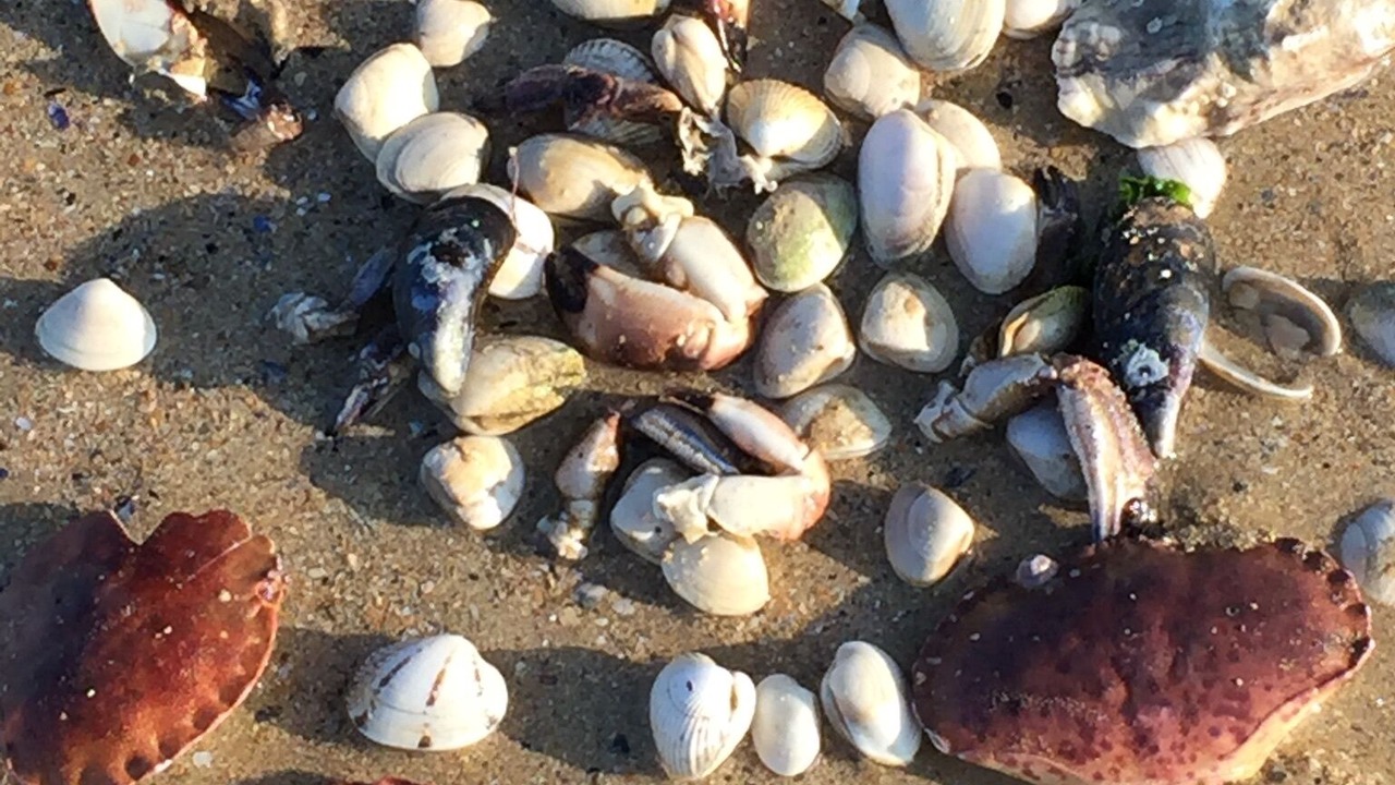 Photo of Others in Bernieres-sur-Mer