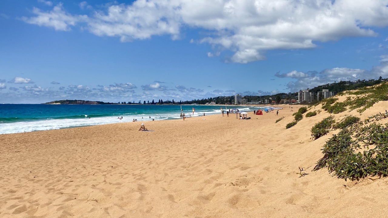 Photo of Others in Narrabeen