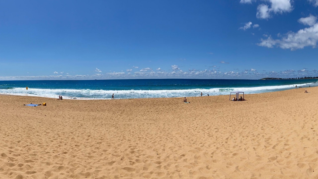 Photo of Others in Narrabeen