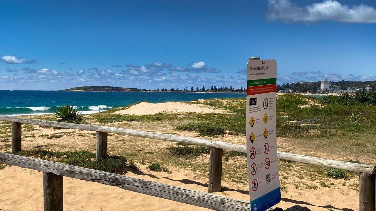 Photo of Others in Narrabeen