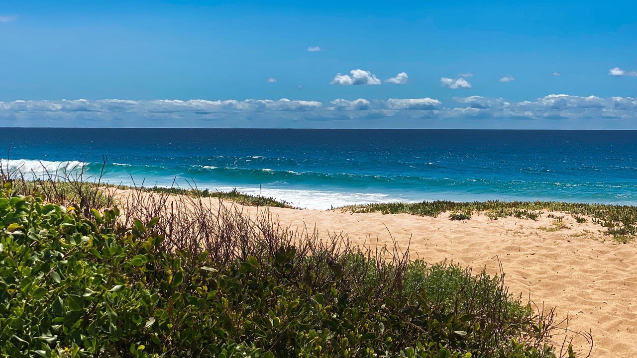 Photo of Others in Narrabeen