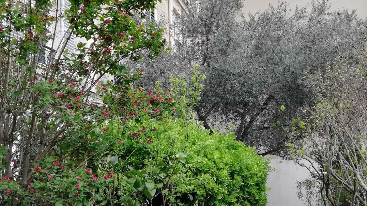 Photo of Outdoor in Neuilly-sur-Seine