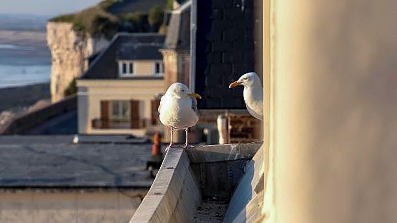 Photo of Others in Le Treport