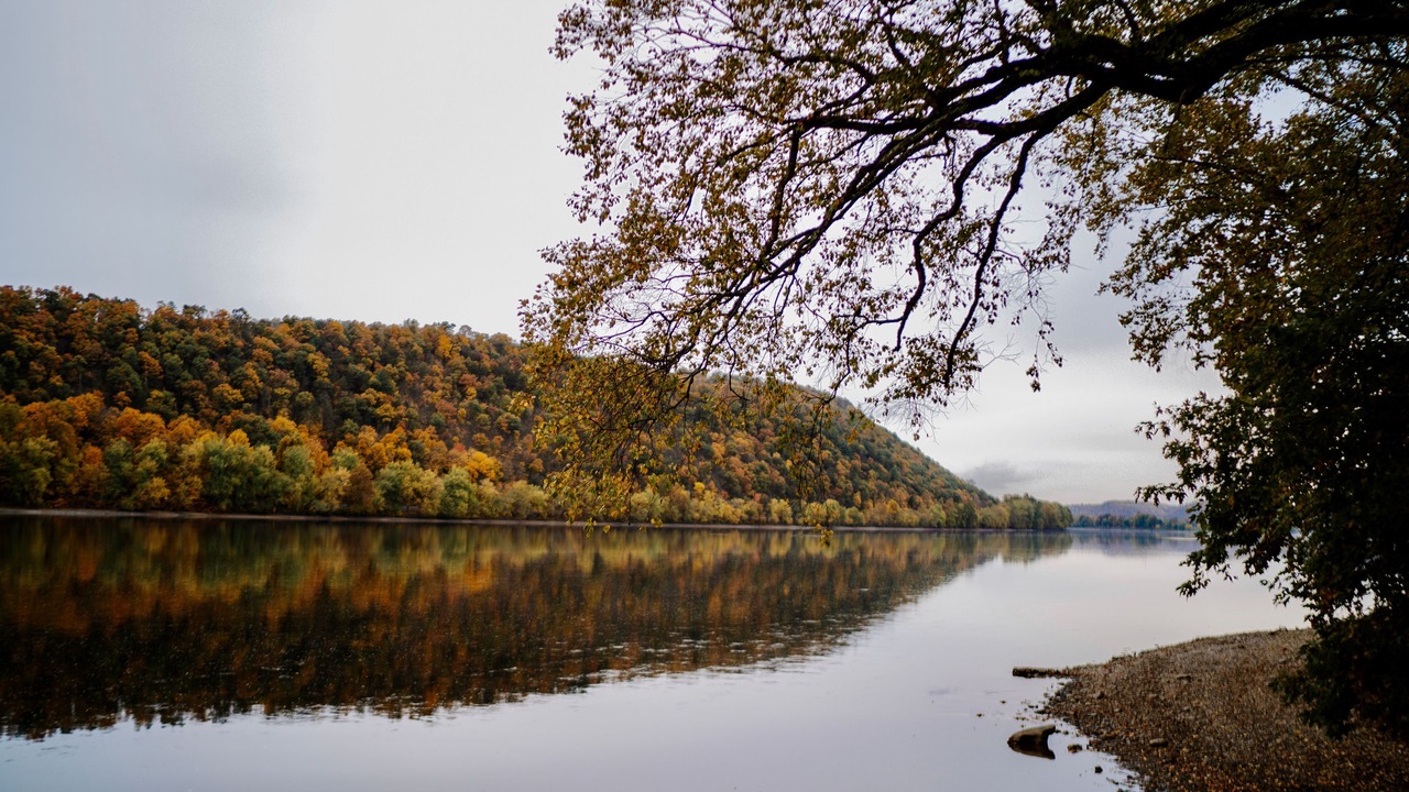 Photo of Others in Northumberland