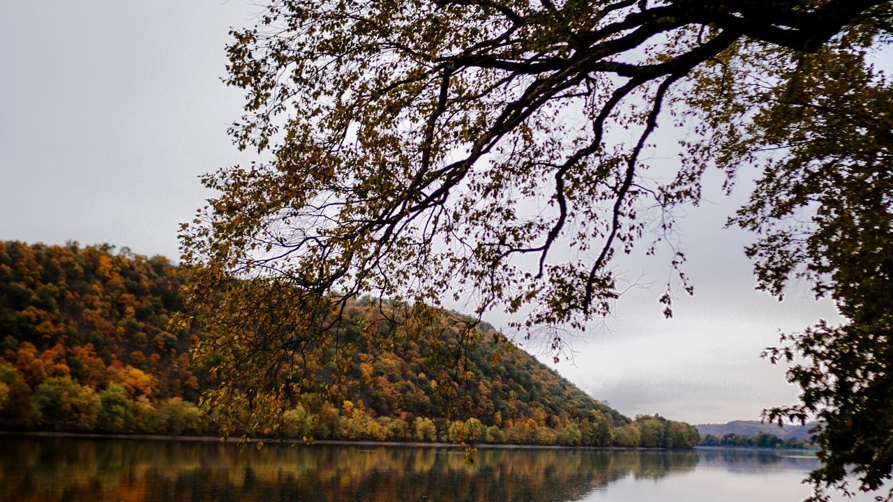 Photo of Outdoor in Northumberland