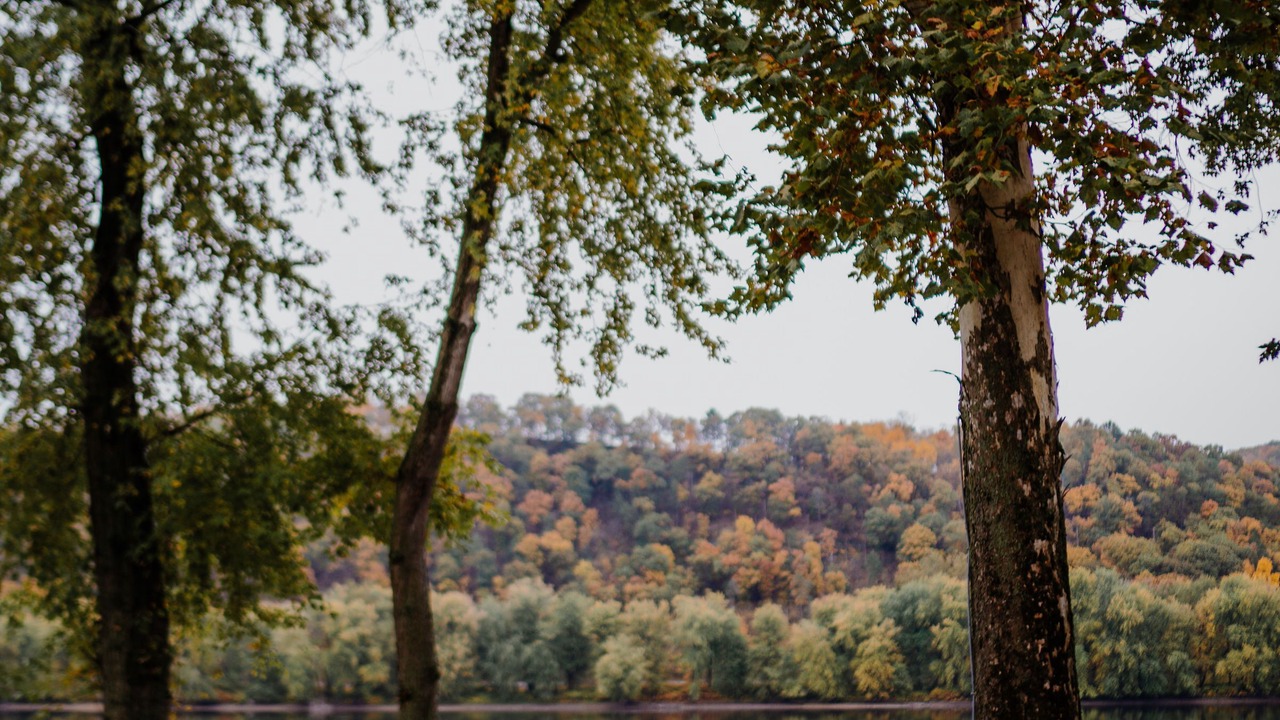 Photo of Outdoor in Northumberland