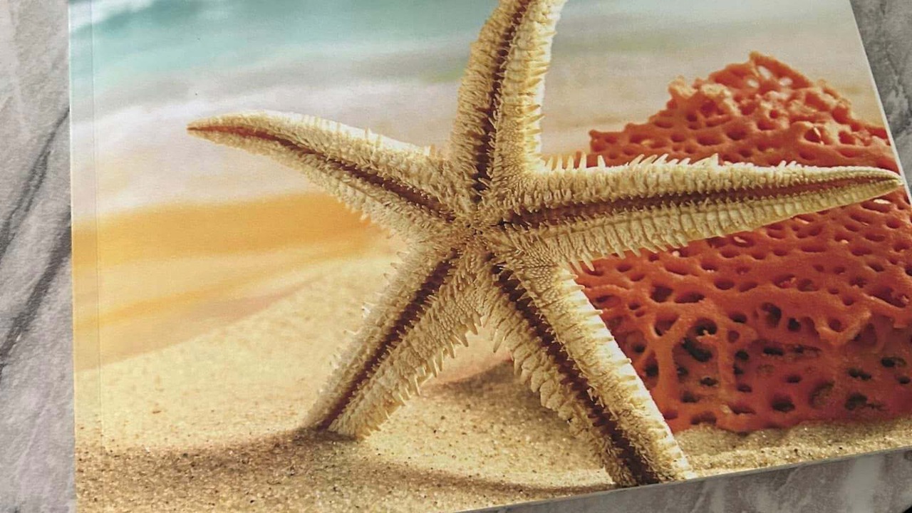 Photo of Others in Kenyon