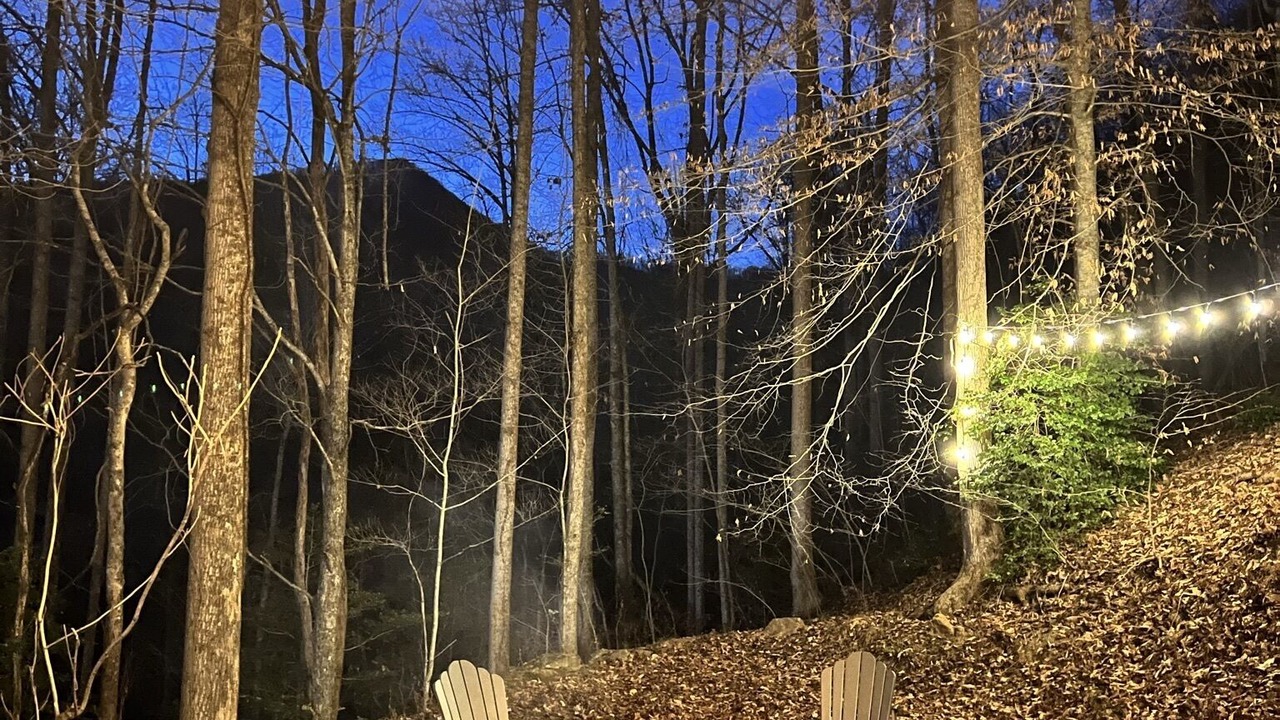 Photo of Outdoor in Sylva