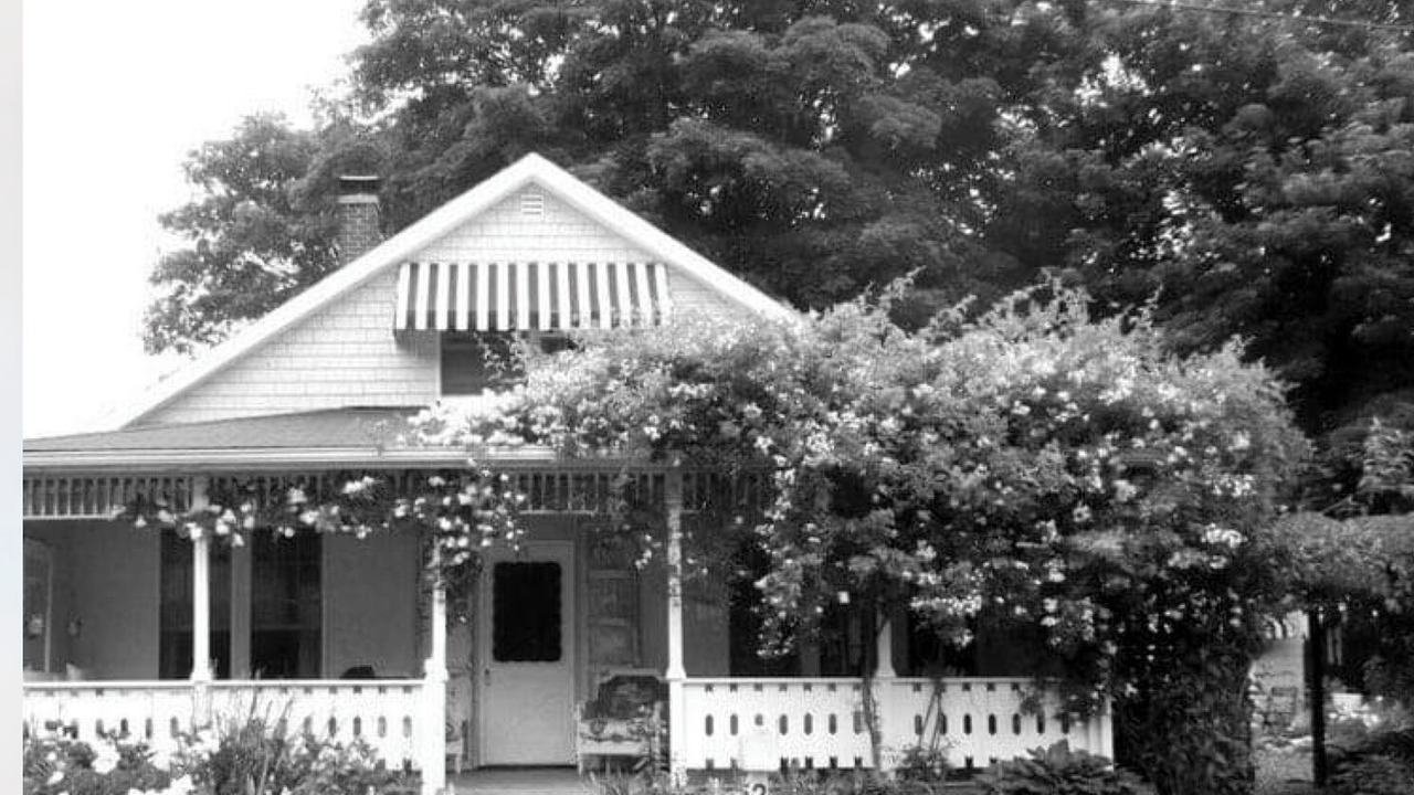 Photo of Others in Bristol