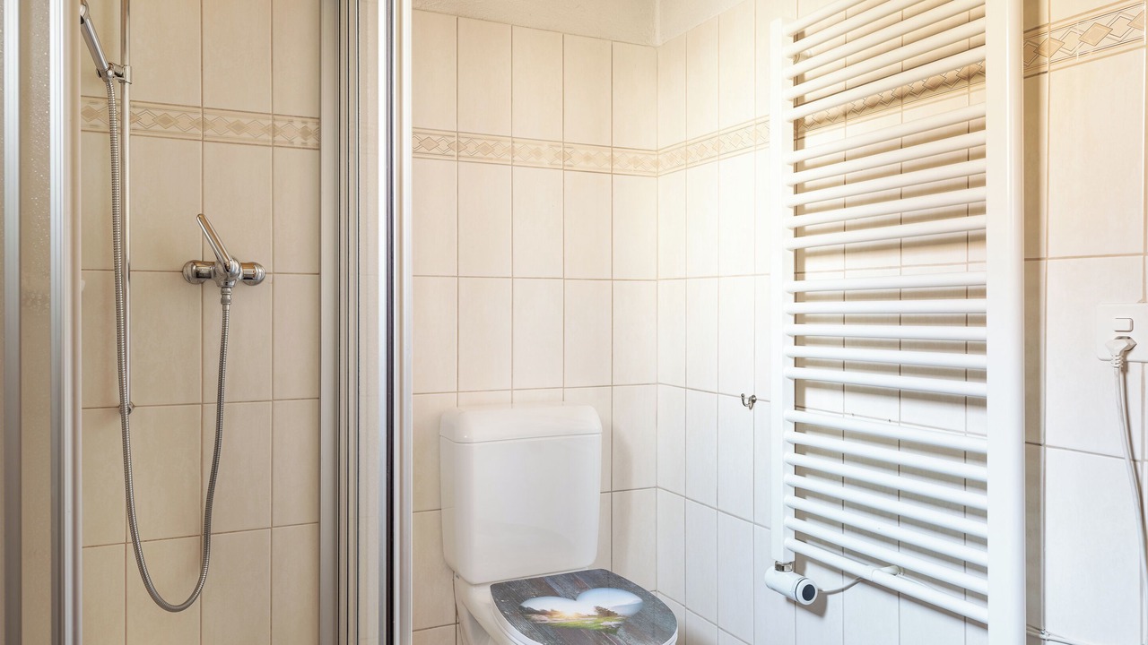 Photo of Bathroom in Axalp