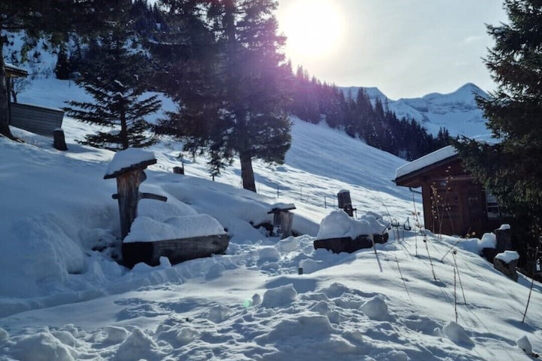 Photo of Outdoor in Axalp