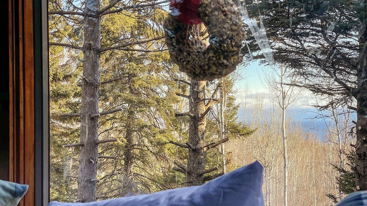 Photo of Outdoor in Schroeder