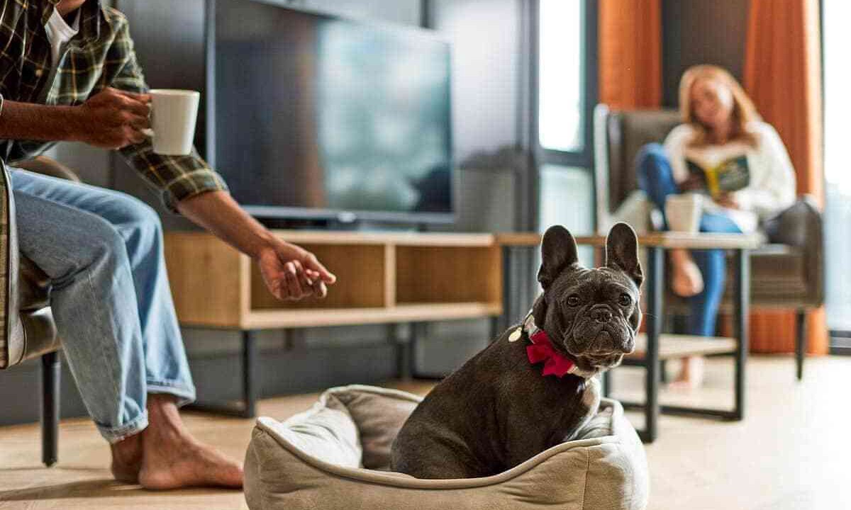 Photo of Others in Newton Grange