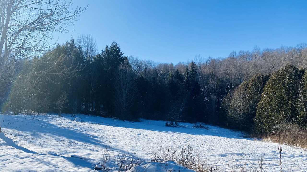 Photo of Outdoor in Orleans