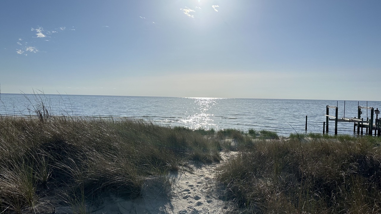Photo of Others in Silver Beach