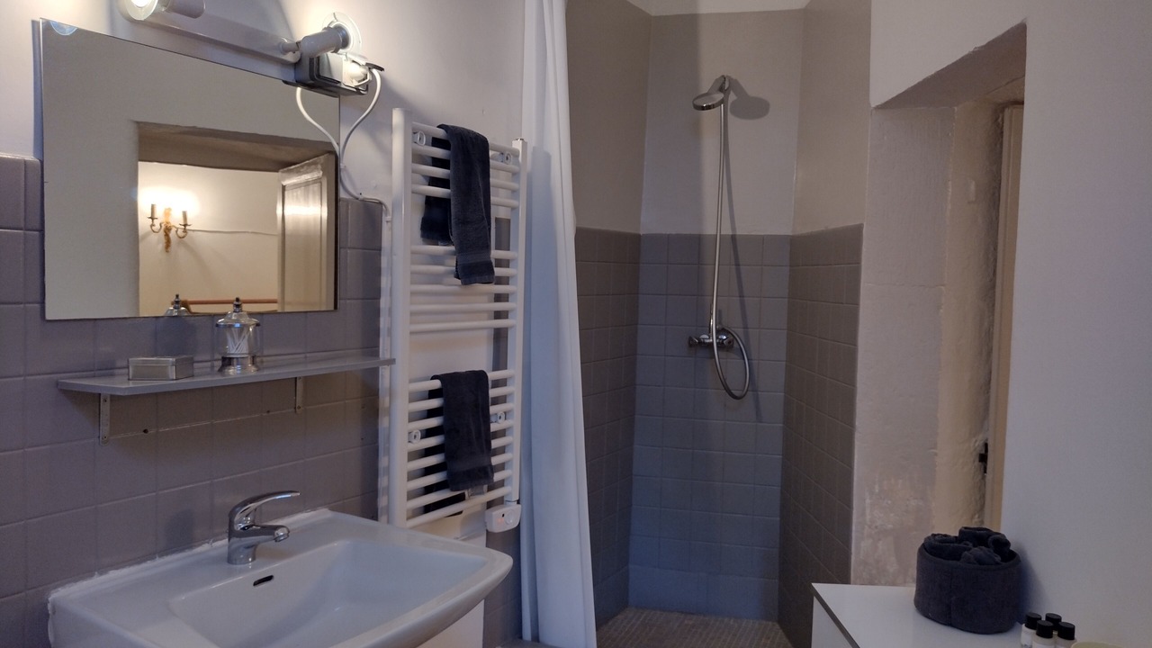 Photo of Bathroom in Balsac