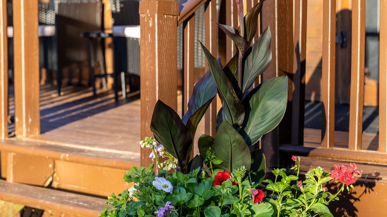 Photo of Outdoor in Nominingue