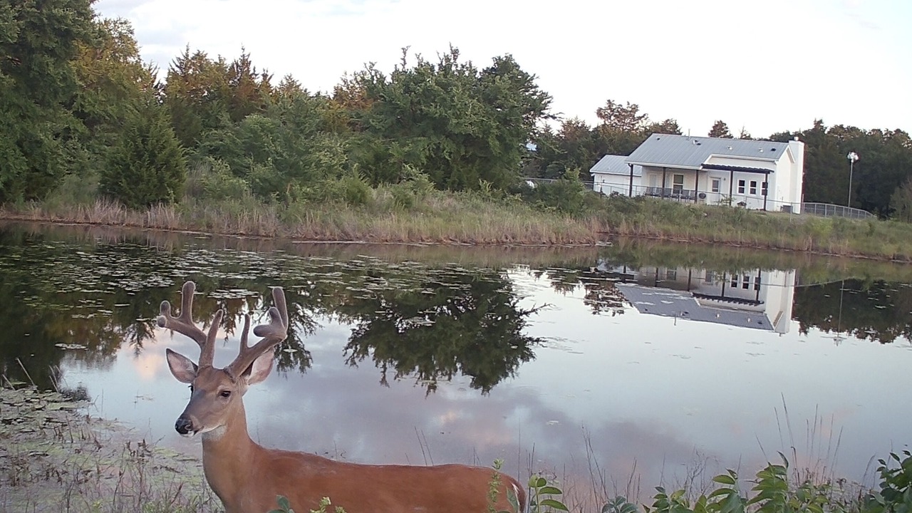 Photo of Others in Valley View