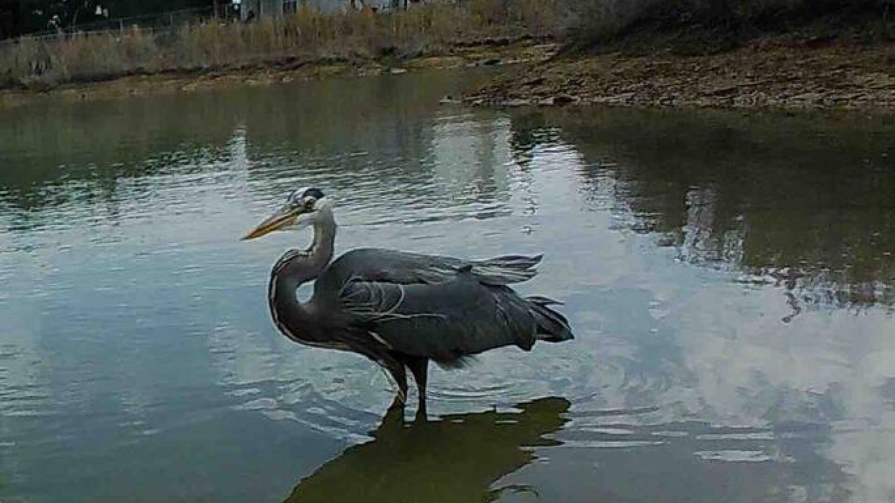 Photo of Others in Valley View