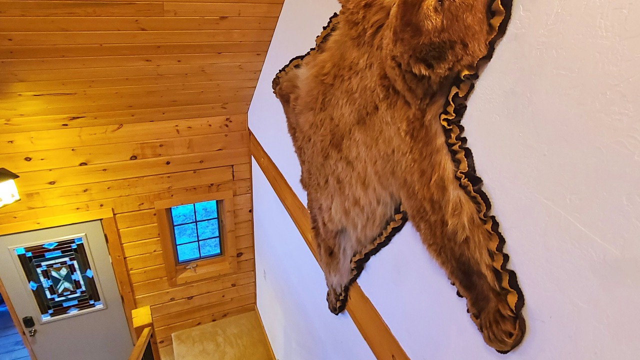 Photo of Others in Rainbow Valley