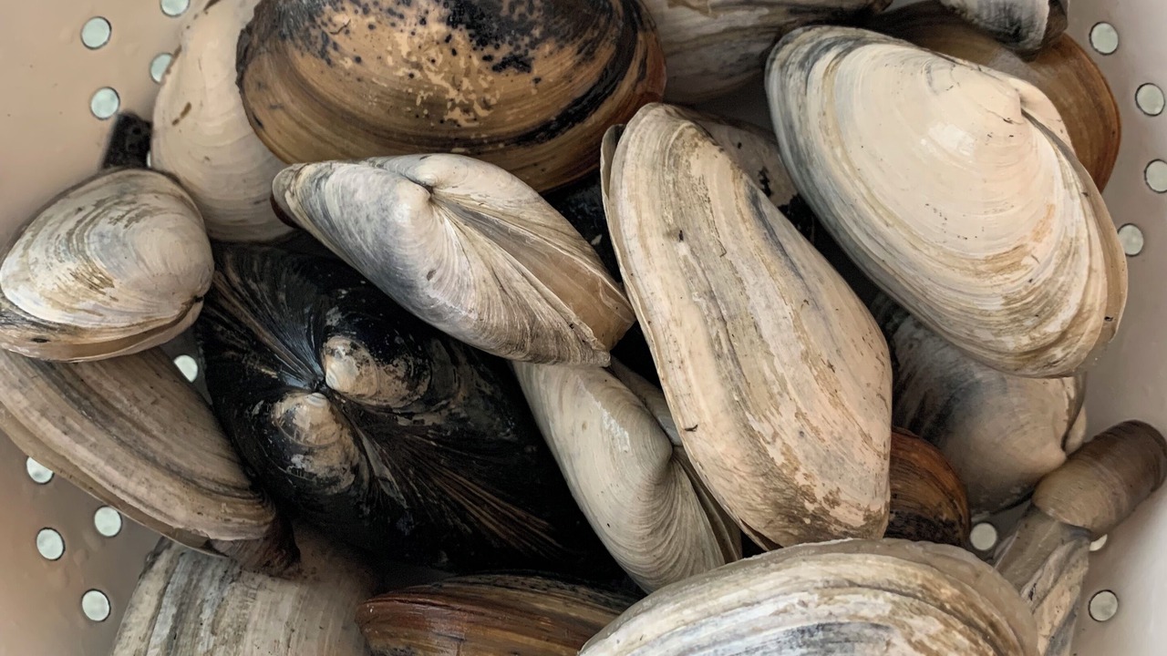 Photo of Others in Georgetown