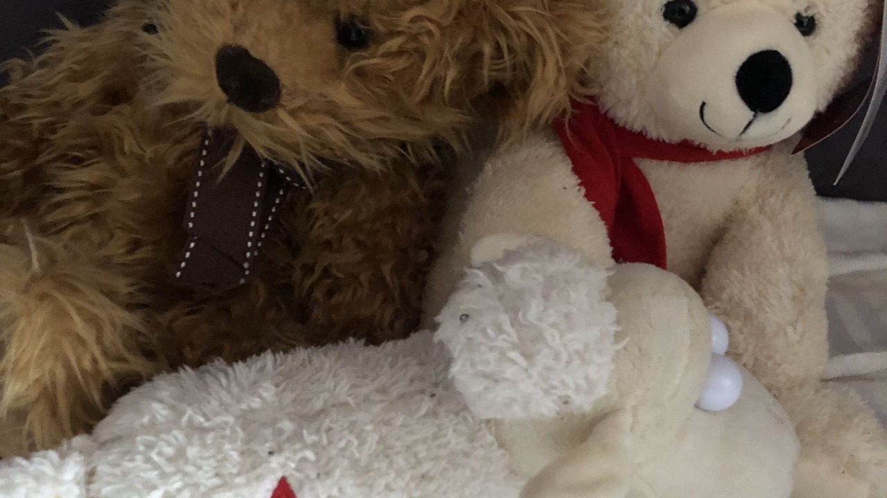 Photo of Bedroom in Bay of Fundy & Annapolis Valley