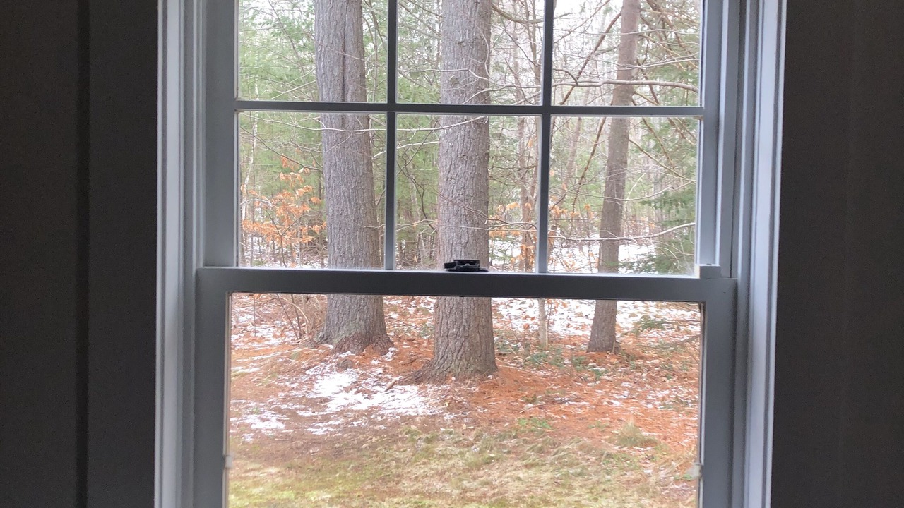 Photo of Others in Bay of Fundy & Annapolis Valley