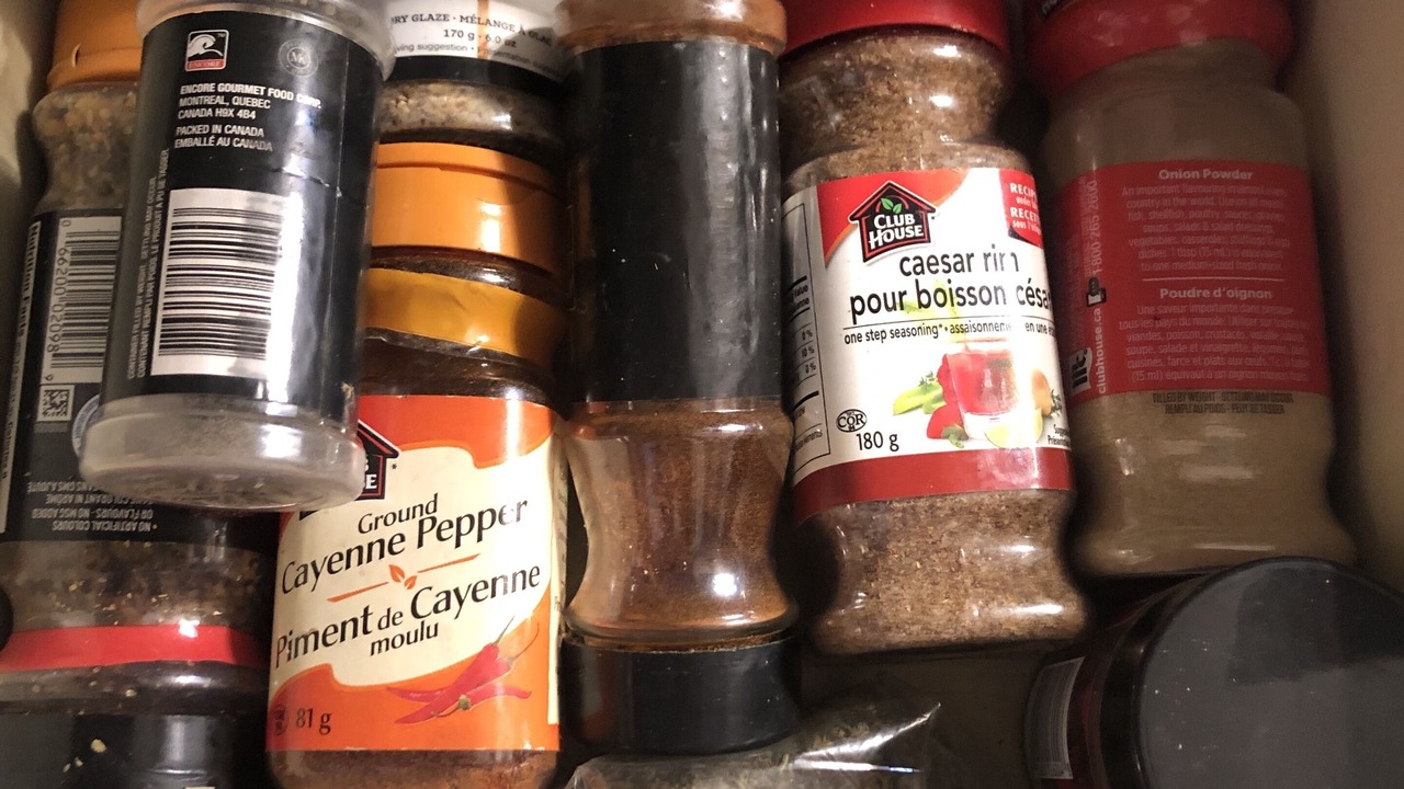 Photo of Others in Bay of Fundy & Annapolis Valley