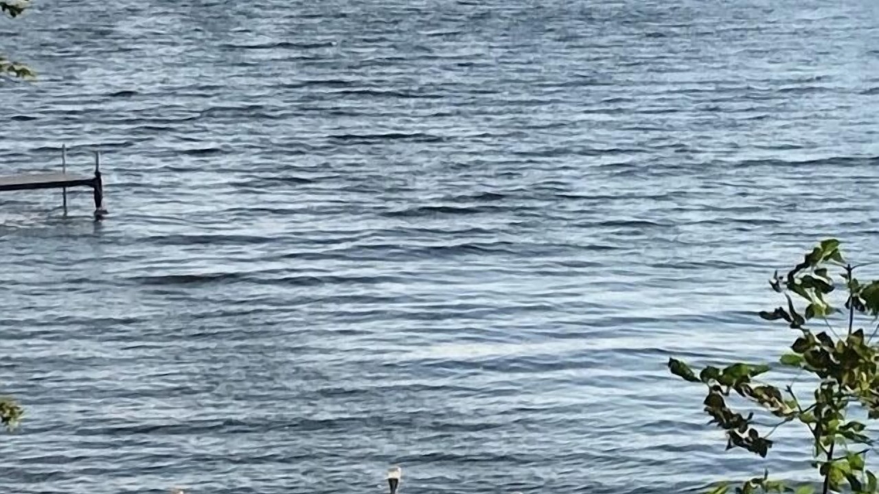 Photo of Others in Town of Macomb