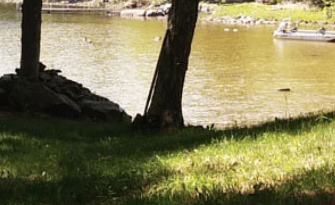 Photo of Others in Town of Macomb