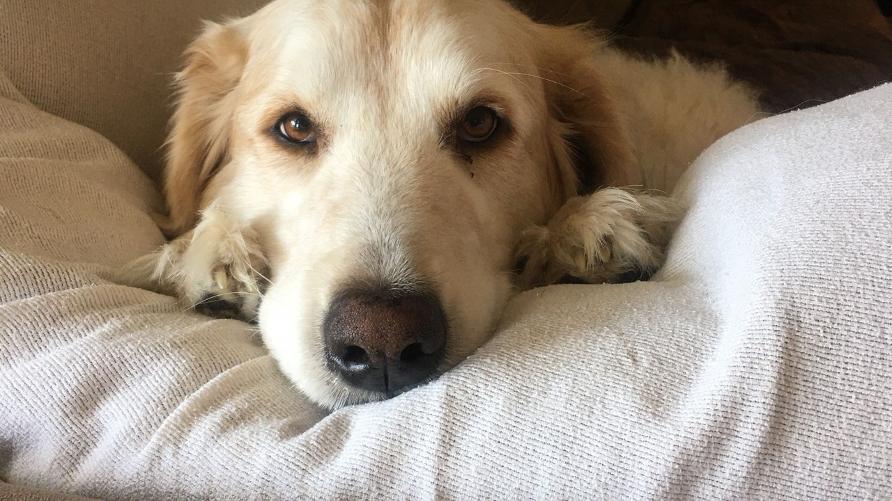 Photo of Others in Rockport