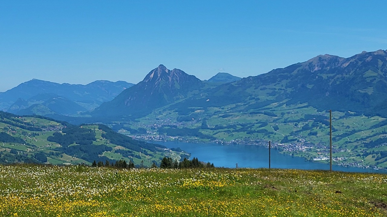 Photo of Others in Giswil