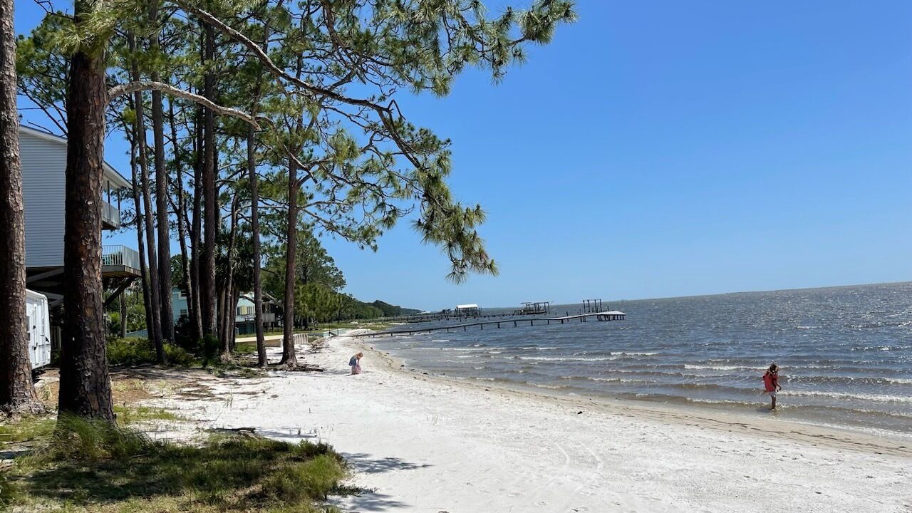 Photo of Others in Carrabelle